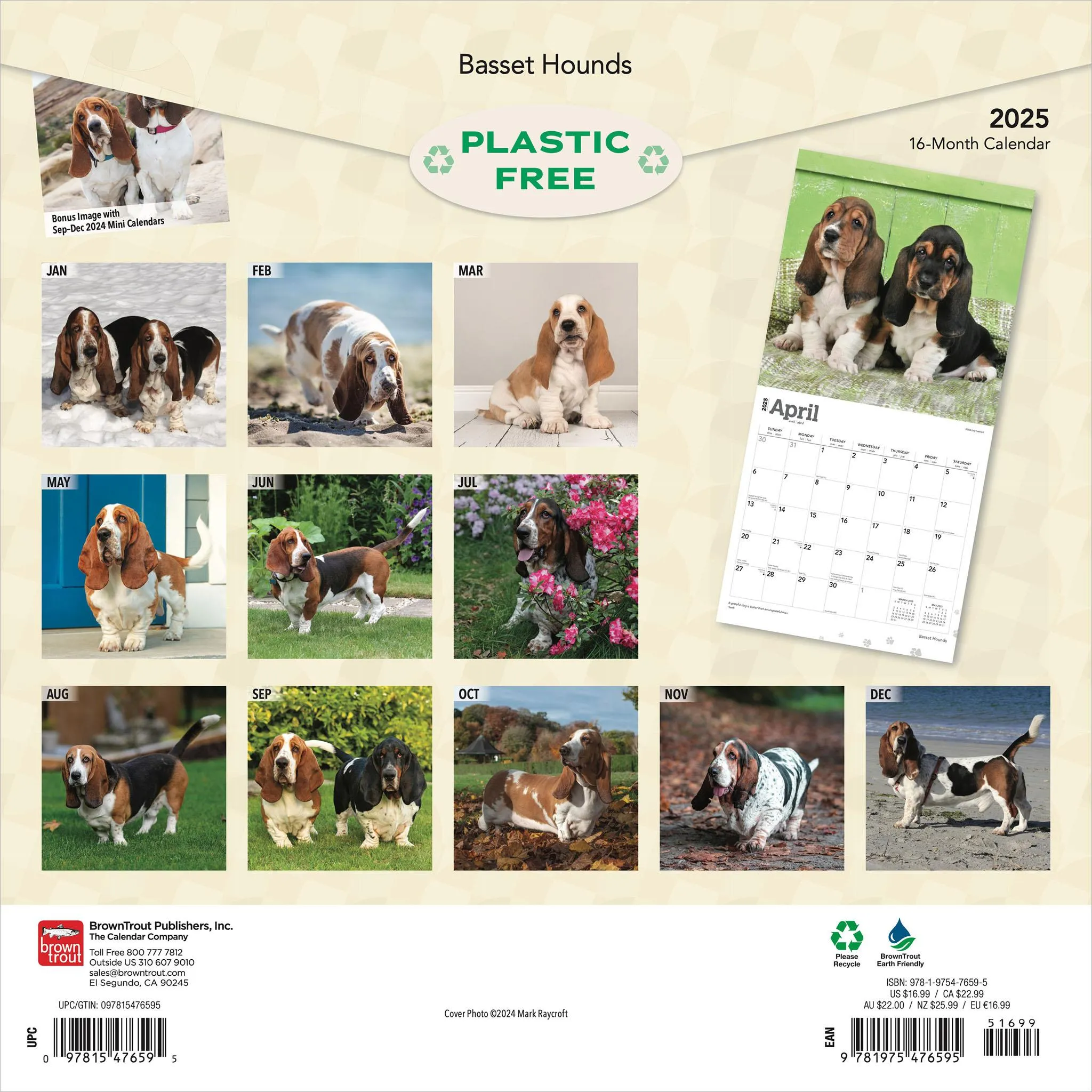 Basset Hounds Wall 2025 Calendar