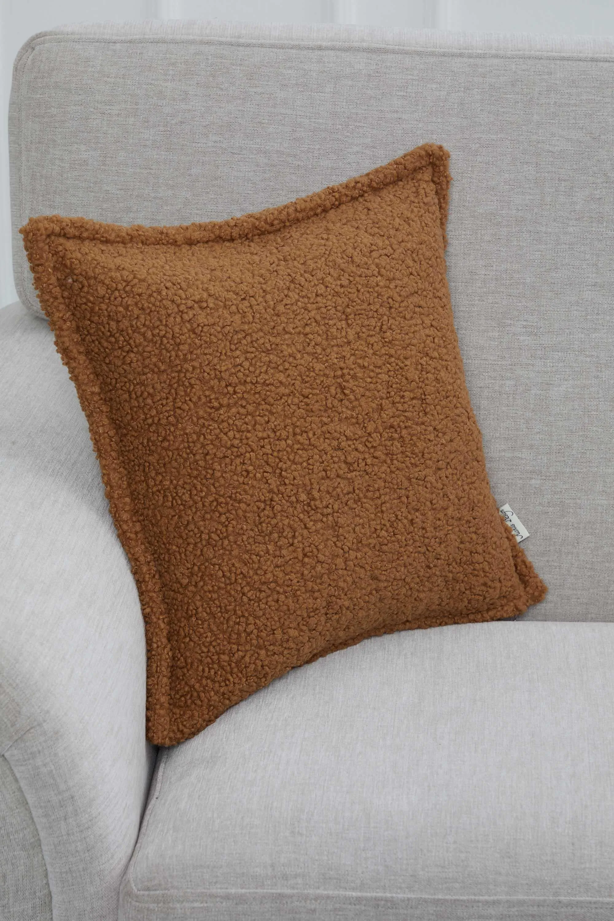 Chic Teddy Square Throw Pillow Cover, 18x18 Inches Soft Touch Teddy Pillow Cover for Couch and Sofa, Trendy Throw Pillow Cover,K-309