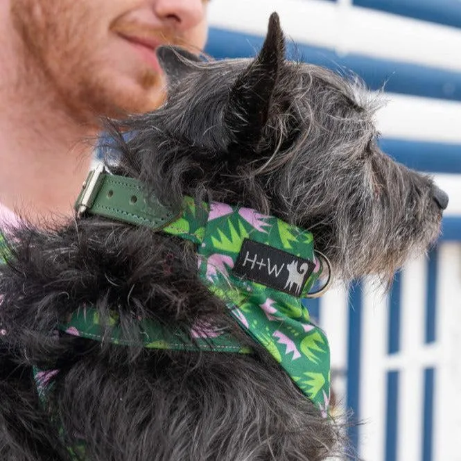 Combs Dog Bandana