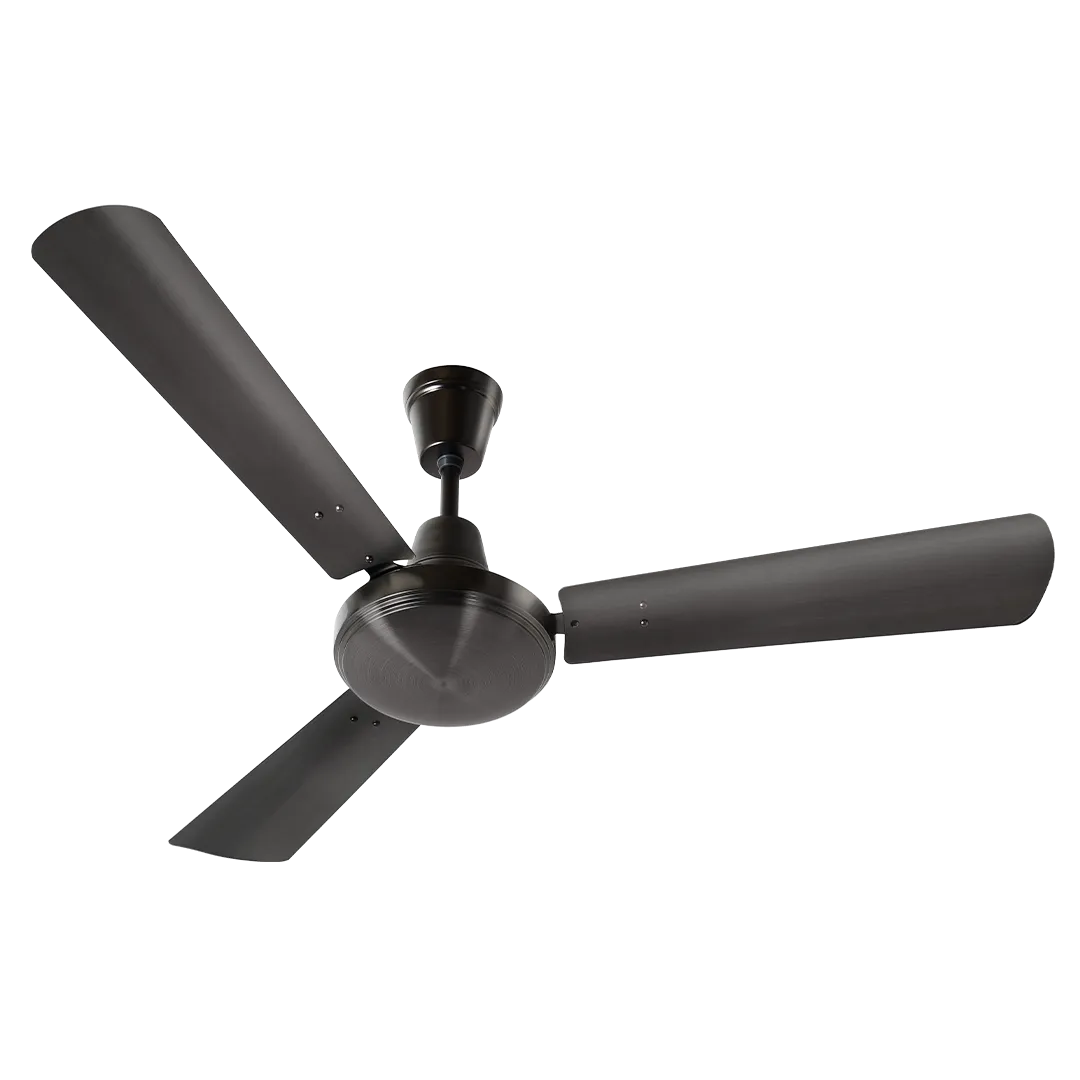 Crompton Luxian Cairo | Designer Ceiling Fan