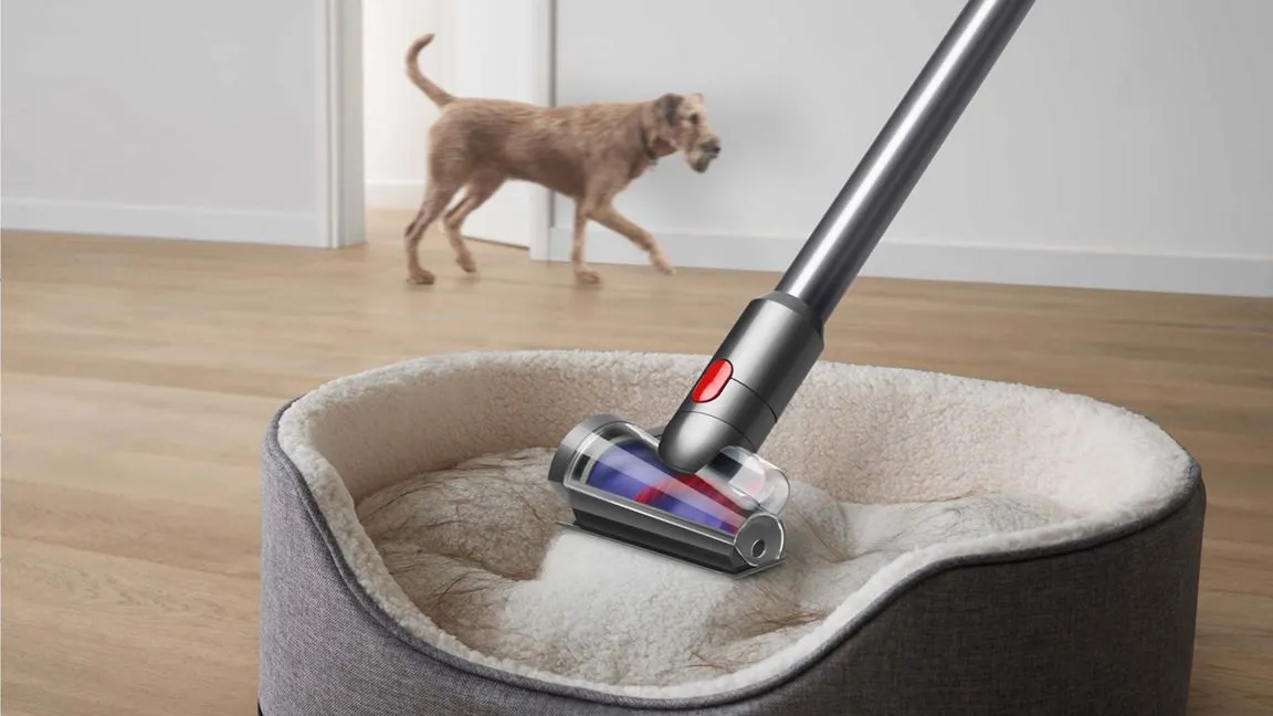 Dyson V8 Absolute vacuum