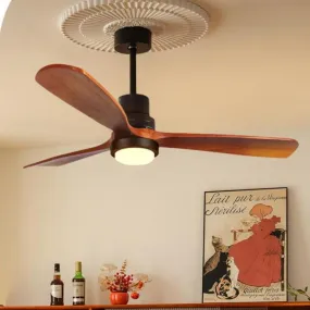 Gotze | Lighted Ceiling Fan