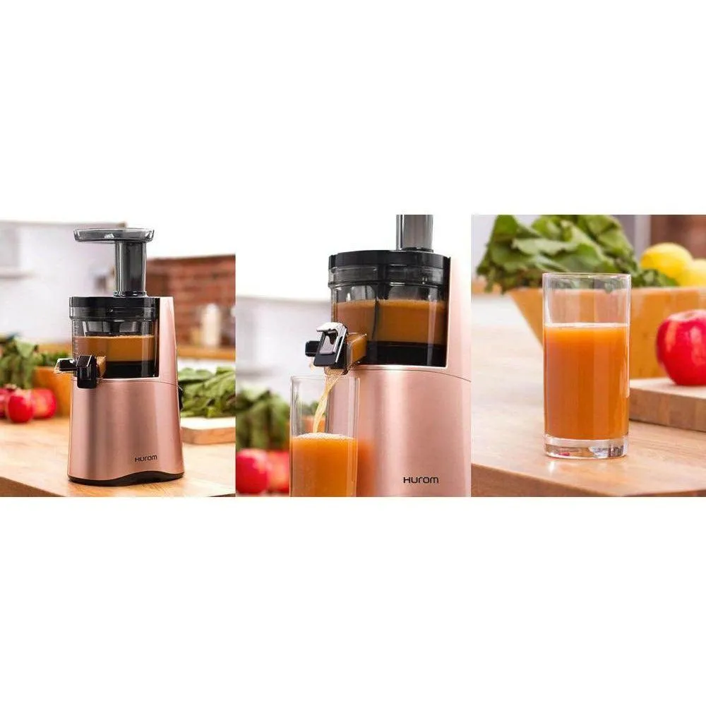 Hurom Alpha H-AA Vertical Masticating Slow Juicer