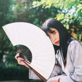 Japanese Silk Cloth Hand Fan