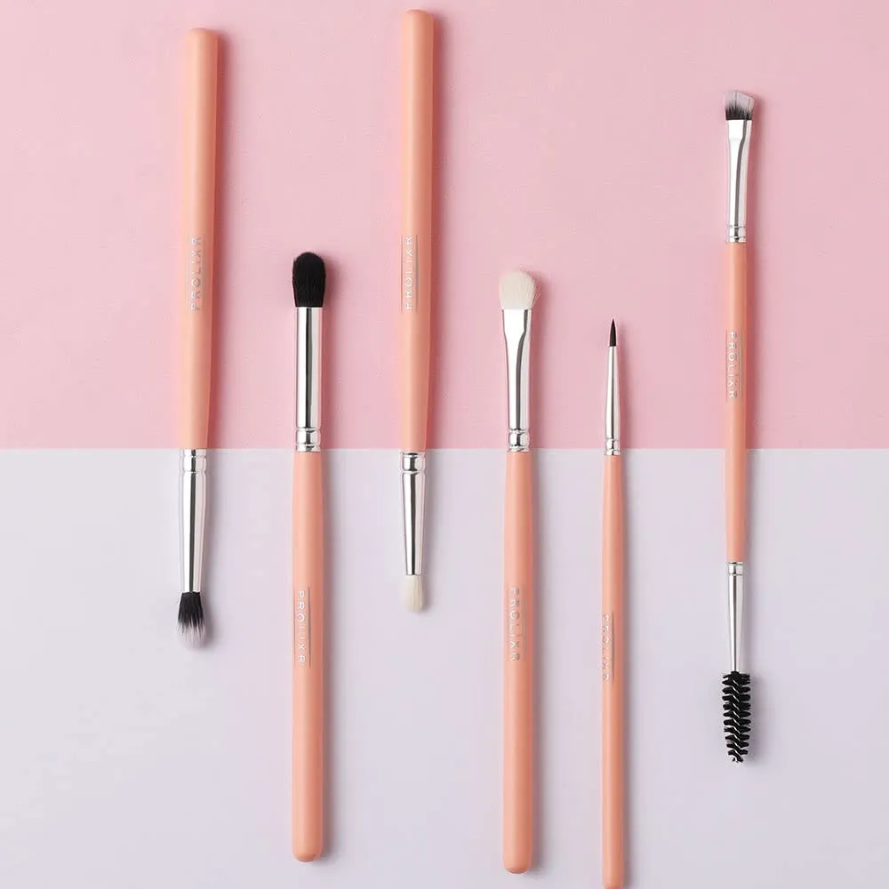 Prolixr Eye Makeup Brush Set - Professional Brushes | Precise, Even Application, Seamless Blending | Hygienic and Vegan | Includes Pink Travel Pouch - 6 Piece Set