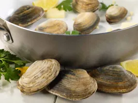 Steamer Clams