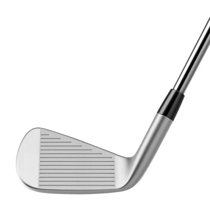 TaylorMade P790 (4-P) Graphite Irons