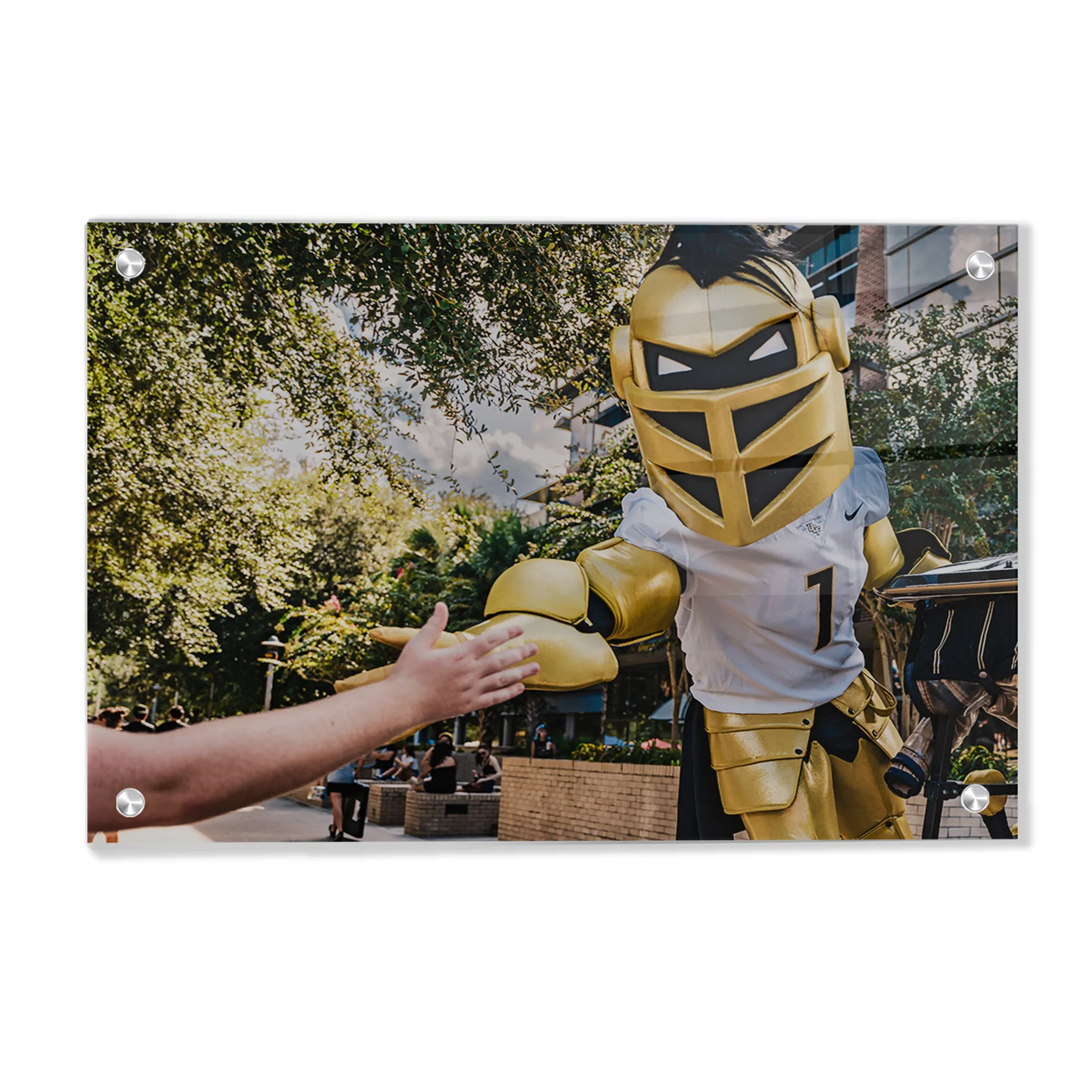 UCF Knights - Knightro Fan