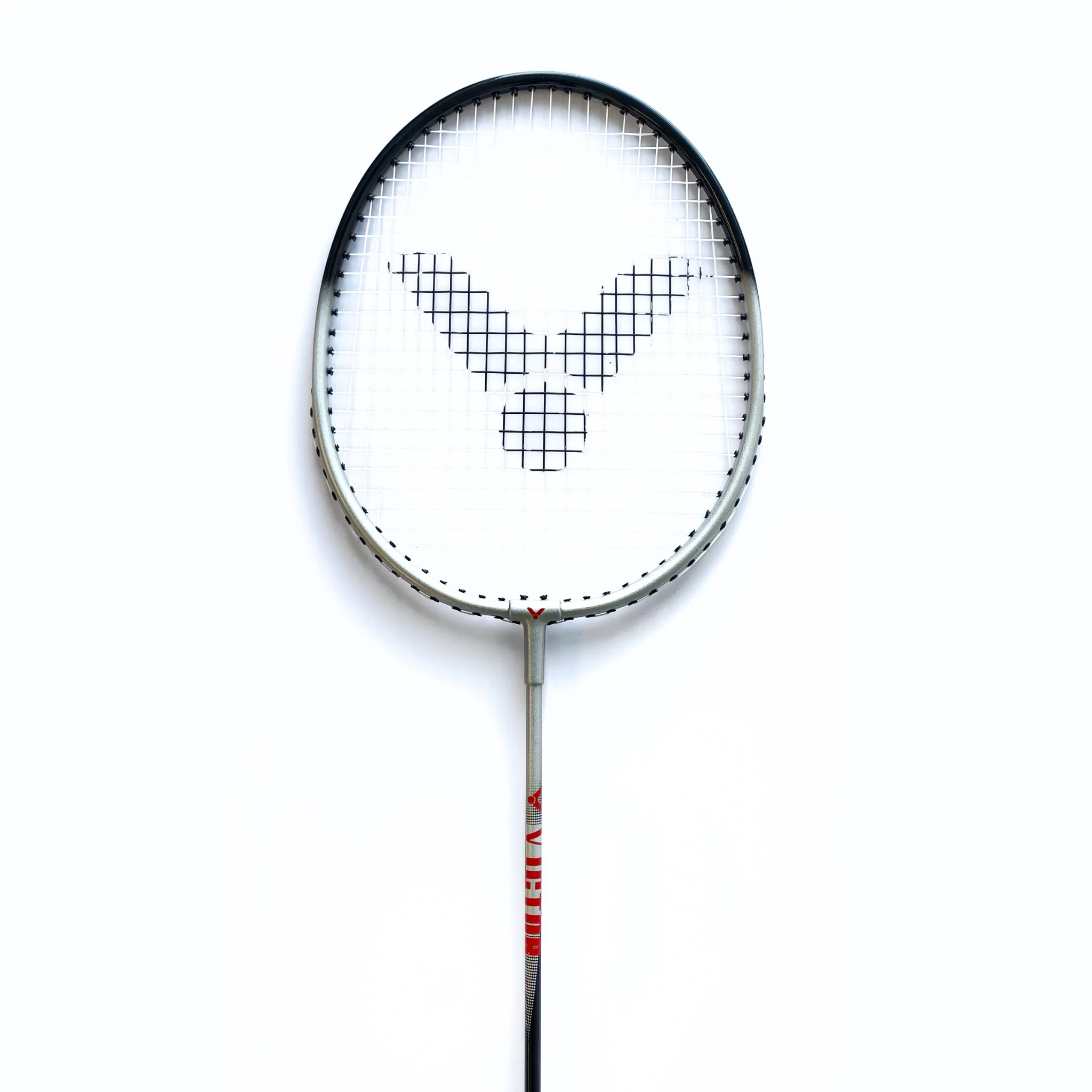 Victor Portable Outdoor Badminton Set - ST1200