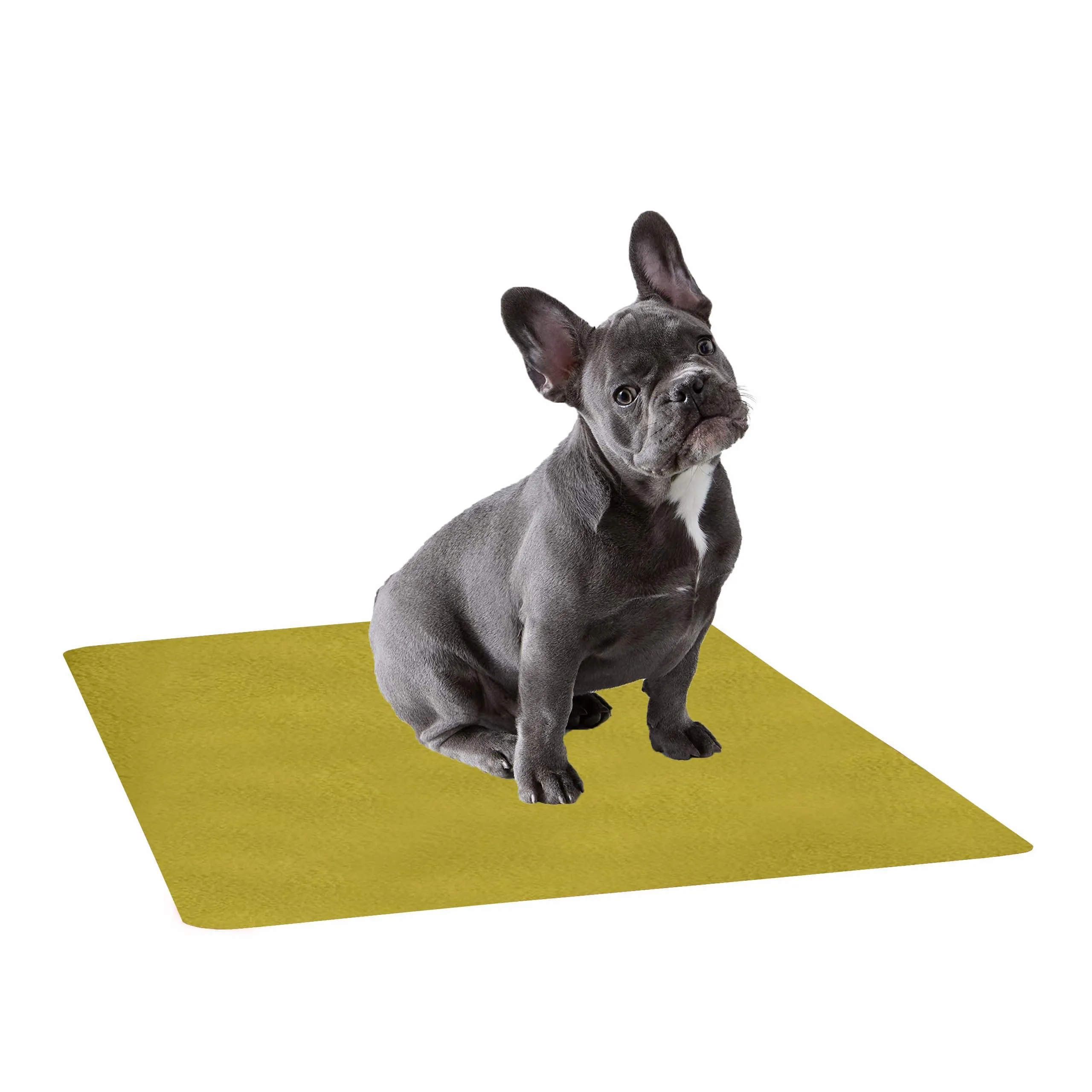 Waterproof Pet Training Puppy Pad (Large)