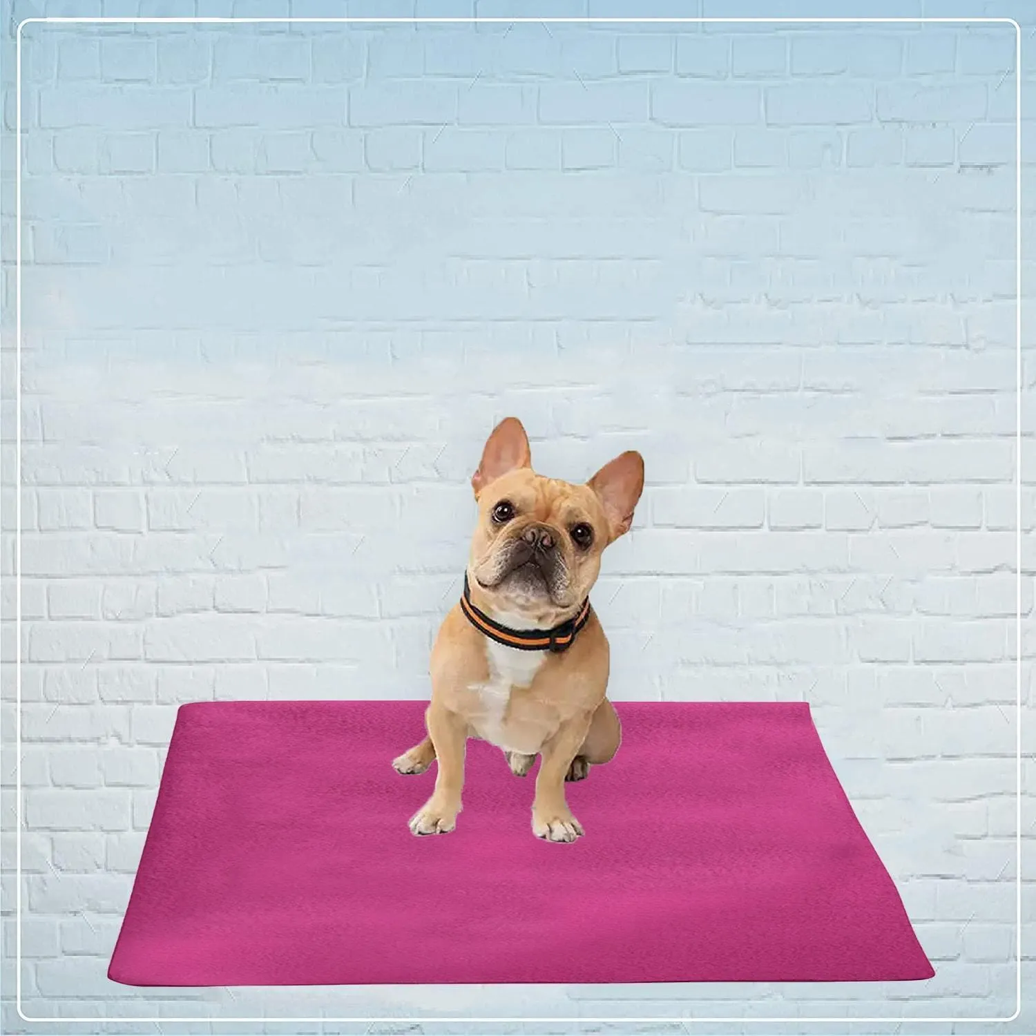 Waterproof Pet Training Puppy Pad (Large)