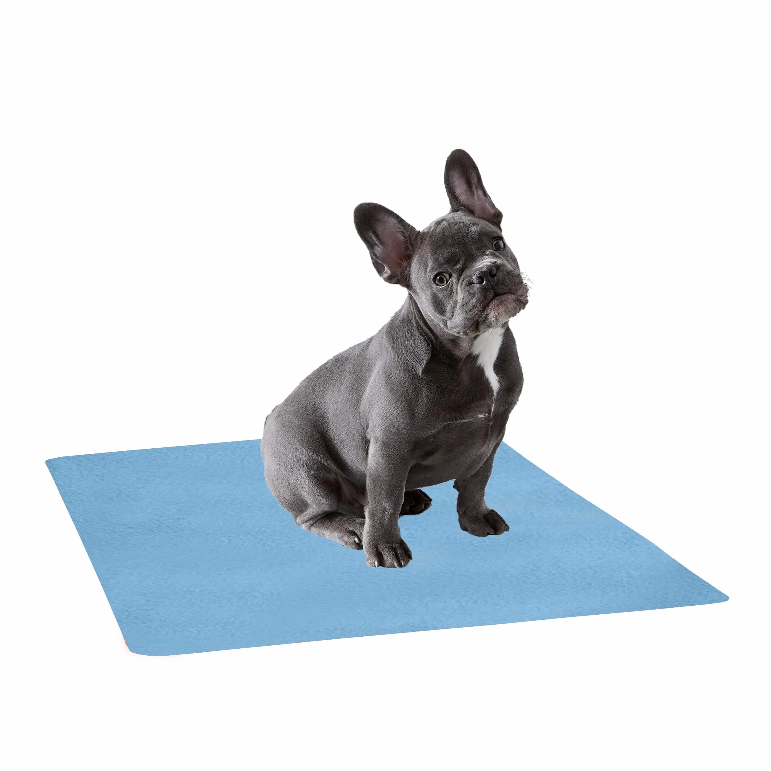 Waterproof Pet Training Puppy Pad (Large)