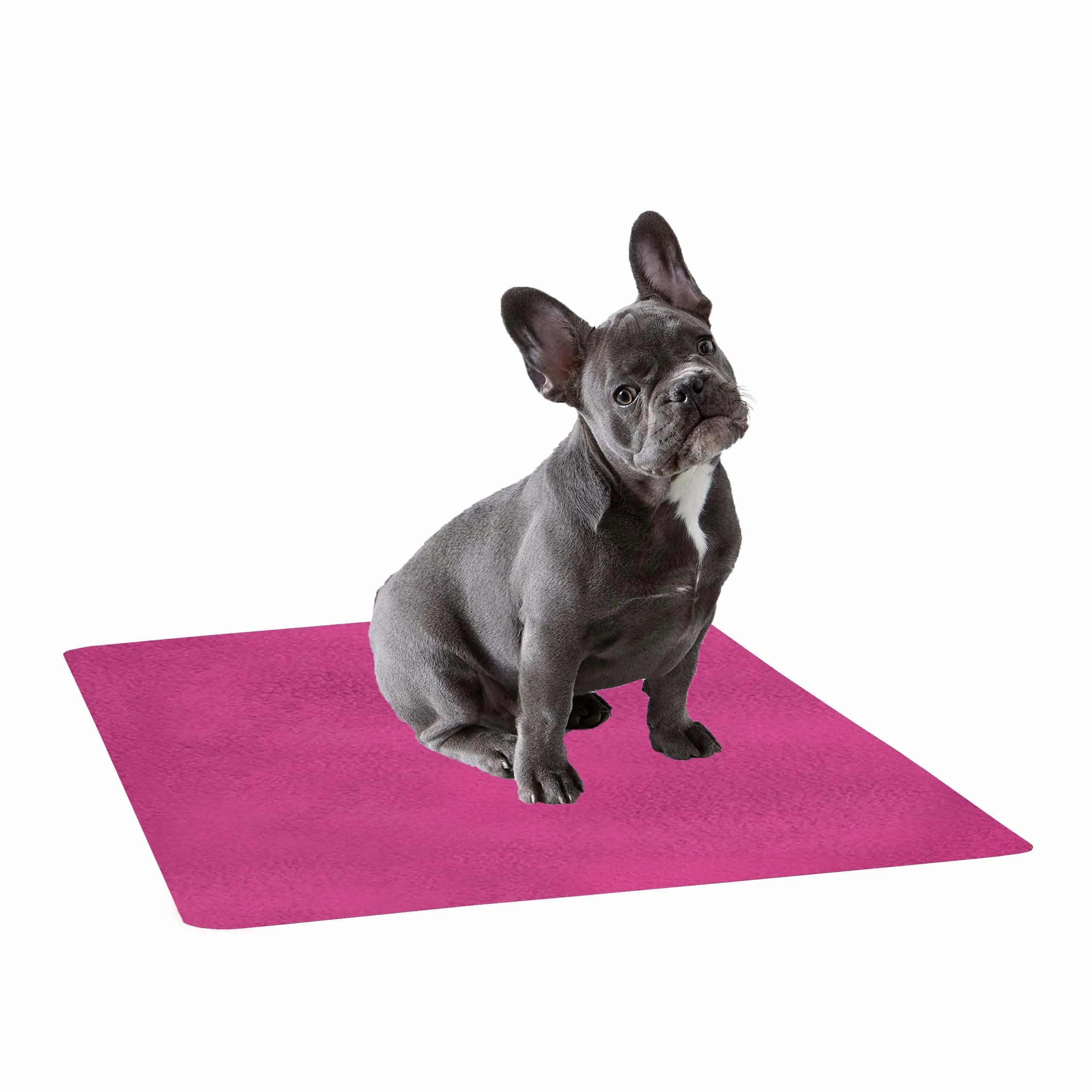 Waterproof Pet Training Puppy Pad (Large)