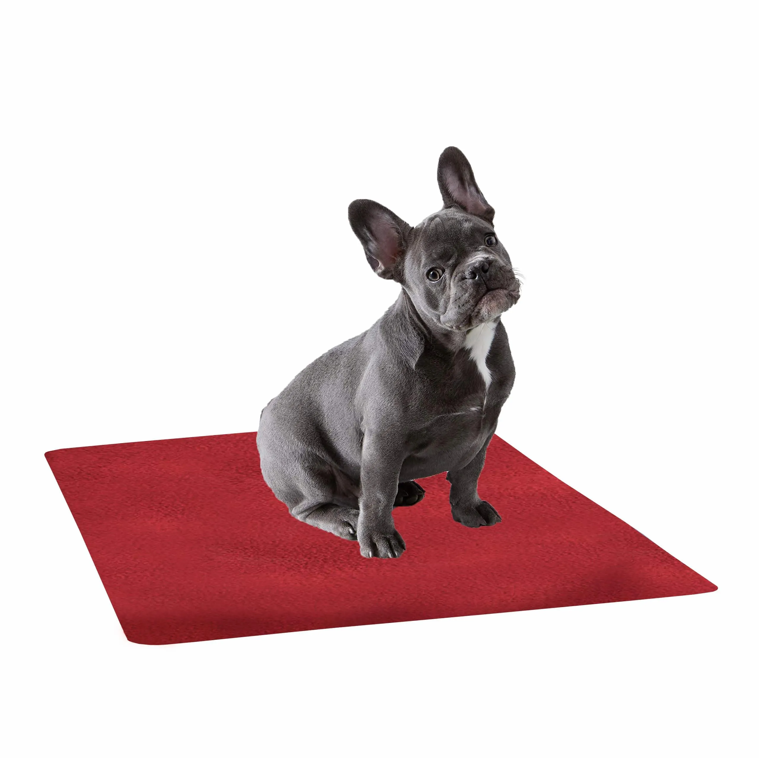 Waterproof Pet Training Puppy Pad (Large)