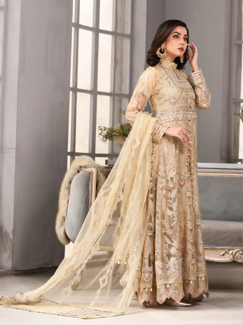 Zarqun Skin Beige Fancy Embroidered Net 3-Piece Maxi Suit